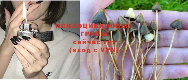 гашик Верея