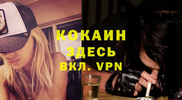 гашик Верея