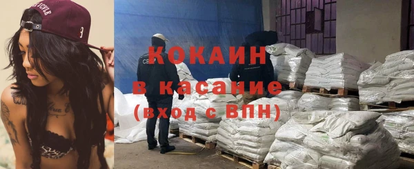 гашик Верея
