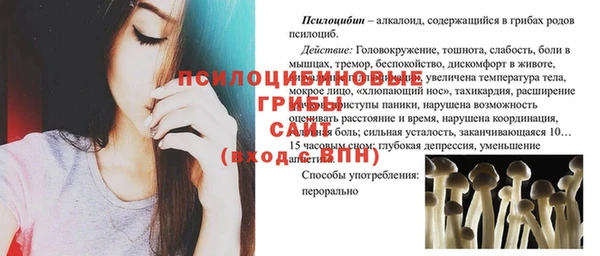 гашик Верея