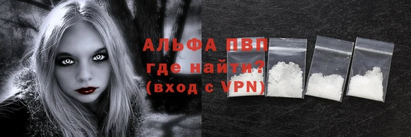гашик Верея